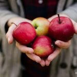 Kesehatan di Balik Buah Apel Manfaat Jangan Di Lewatkan