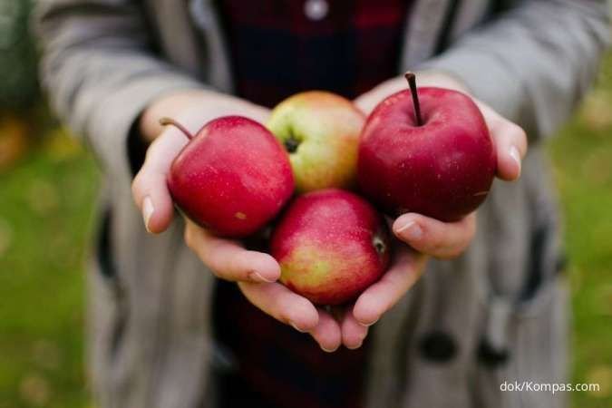 Kesehatan di Balik Buah Apel Manfaat Jangan Di Lewatkan
