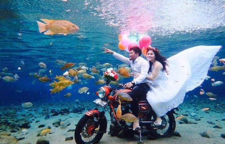 Seru Banget Terjun ke Umbul Ponggok Rasakan Dinginnya