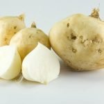 Rahasia Kecantikan dan Kesehatan dengan Buah Bengkoang