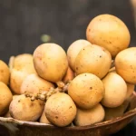 Manfaat Buah Duku untuk Kesehatan, Ini Rahasianya