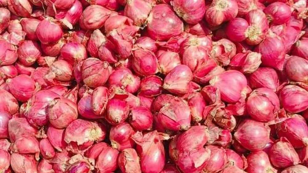 Bawang Merah untuk Kesehatan Lebih dari Sekadar Bumbu