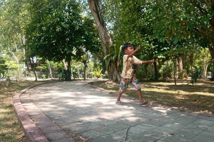 Wisata ke Taman Bukit Baru Pangkalpinang, Ajak Anak Mengenal Ragam Pohon dan Alam
