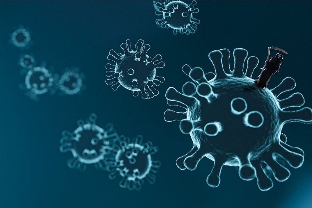 Virus HKU5