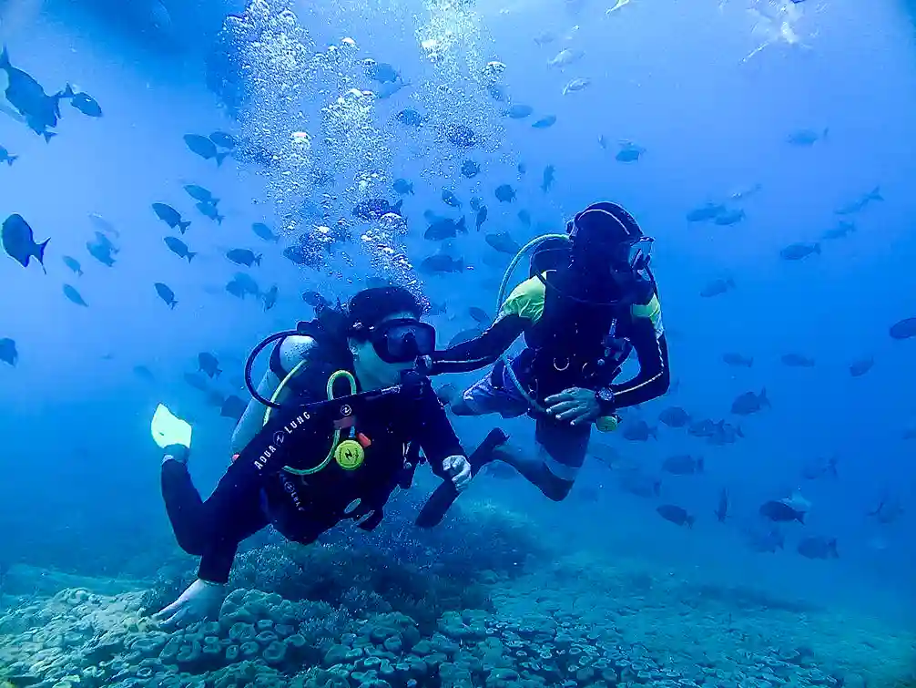 Rekomendasi Tempat Menyelam di Bali: Panduan Destinasi Terbaik