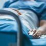 Penyebab Leukemia yang Perlu Diketahui untuk Kewaspadaan Dini