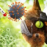 Penyebab Penyakit Nipah yang Perlu Dipahami Sejak Dini