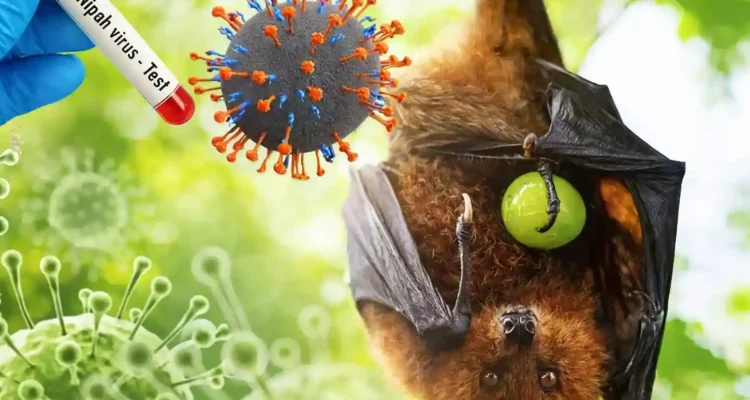 Penyebab Penyakit Nipah yang Perlu Dipahami Sejak Dini