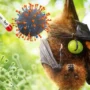 Penyebab Penyakit Nipah yang Perlu Dipahami Sejak Dini