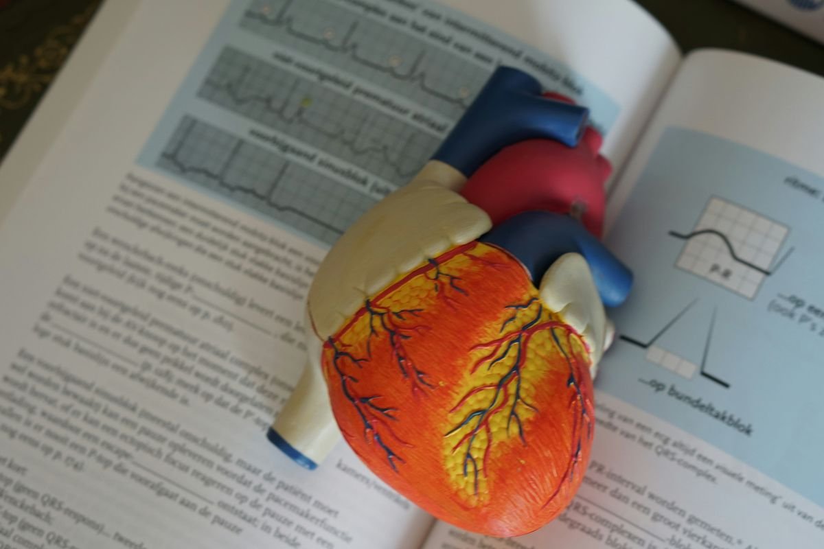LVAD